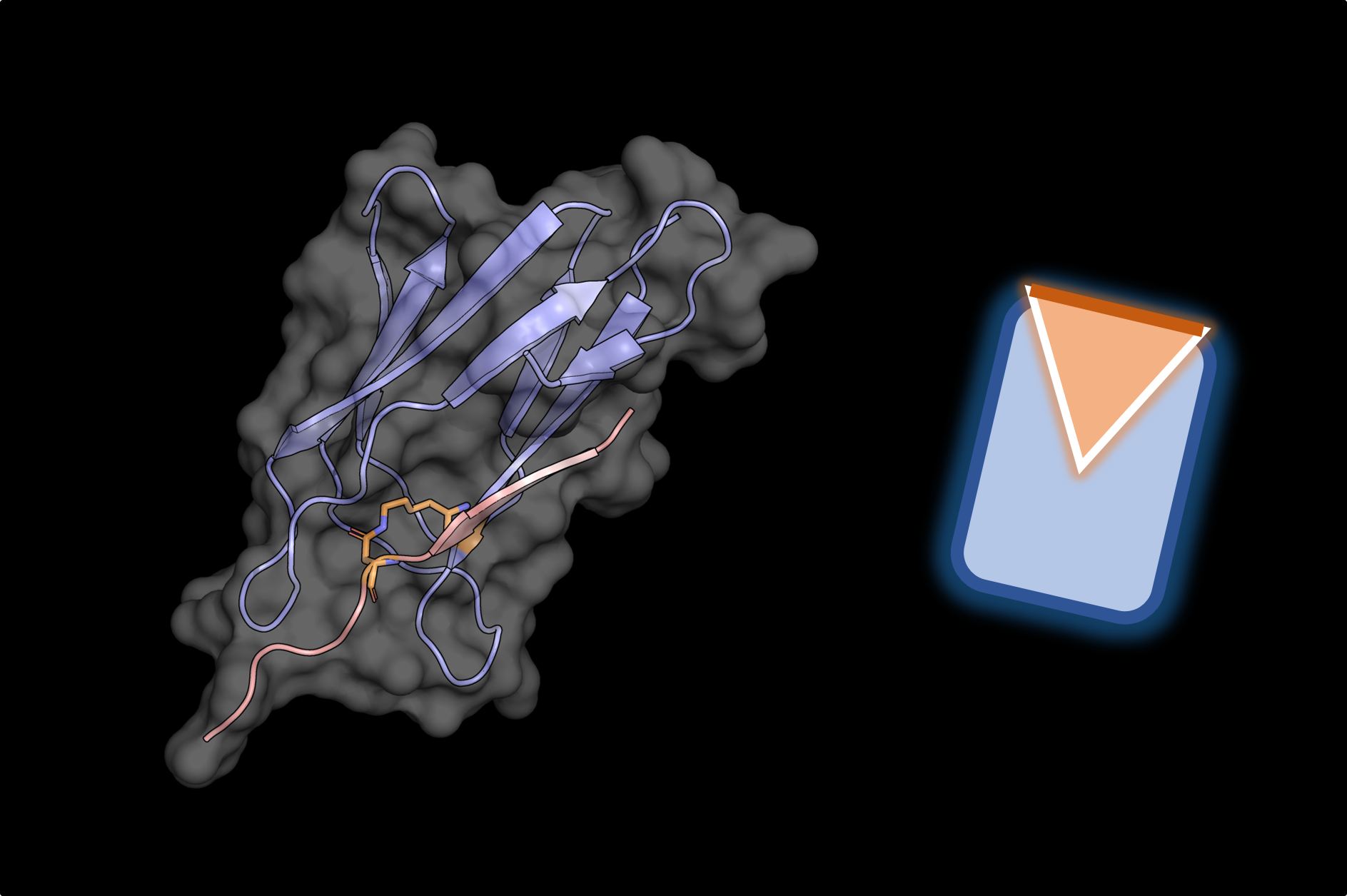 Protein Coupling Tools