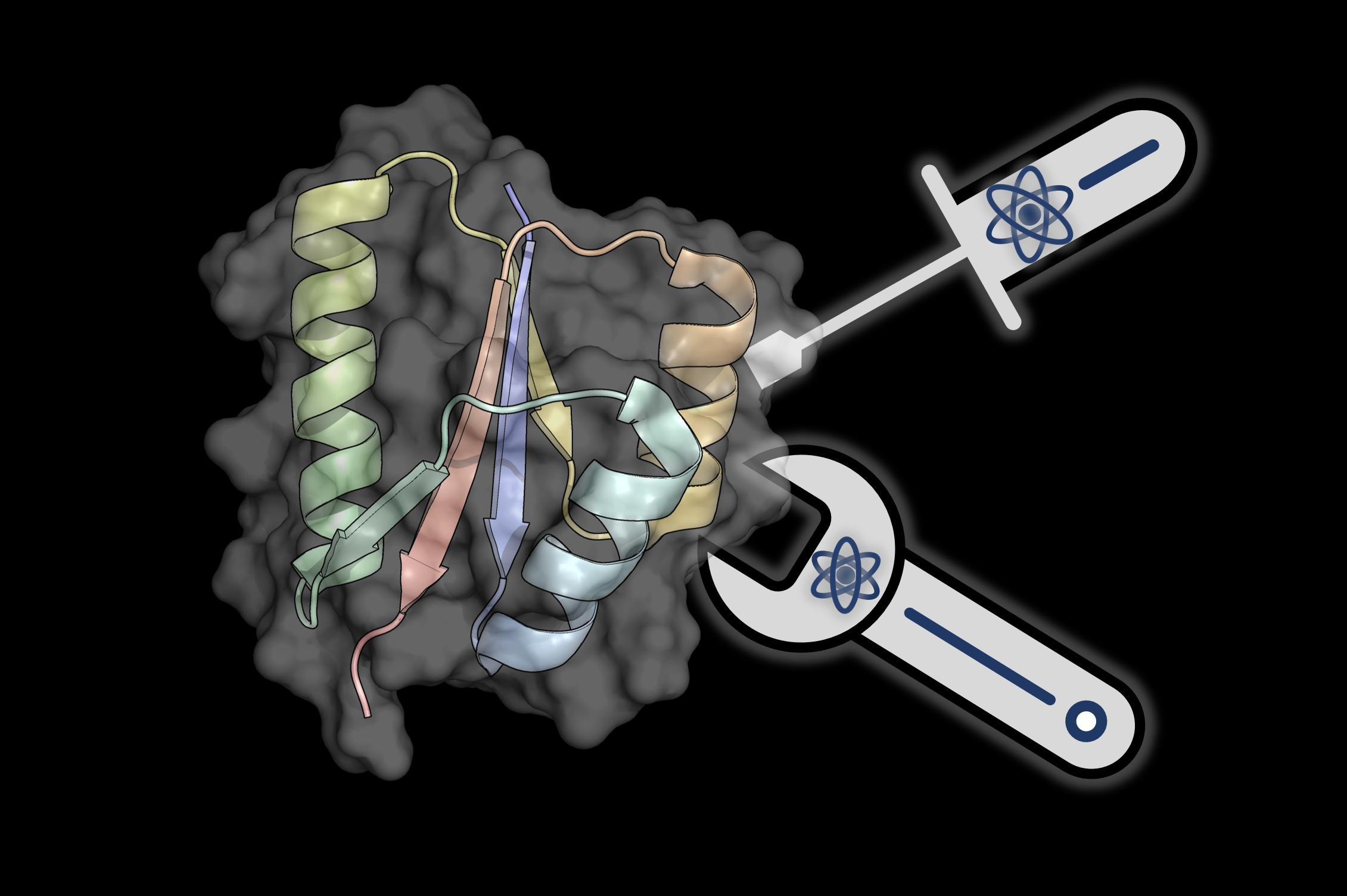 Rational protein design