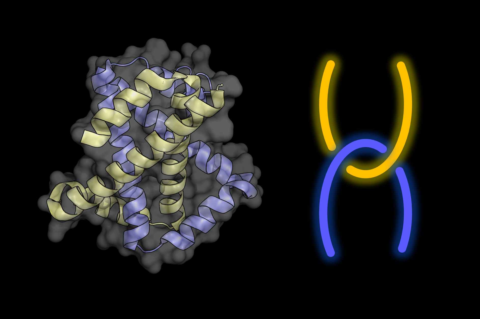 Entangled Motifs